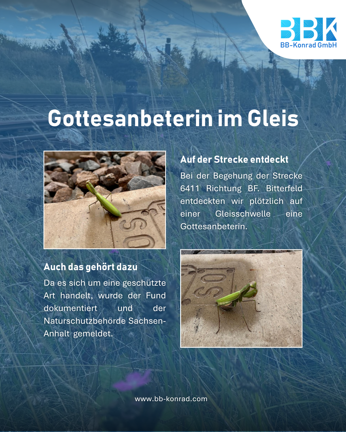 Neuer Blogartikel