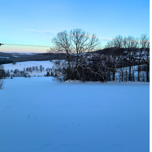 Ausblick Hotel Wettiner Höhe