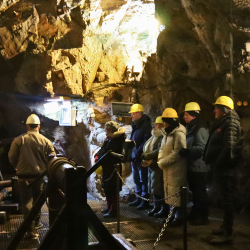 Einblicke in die Führung