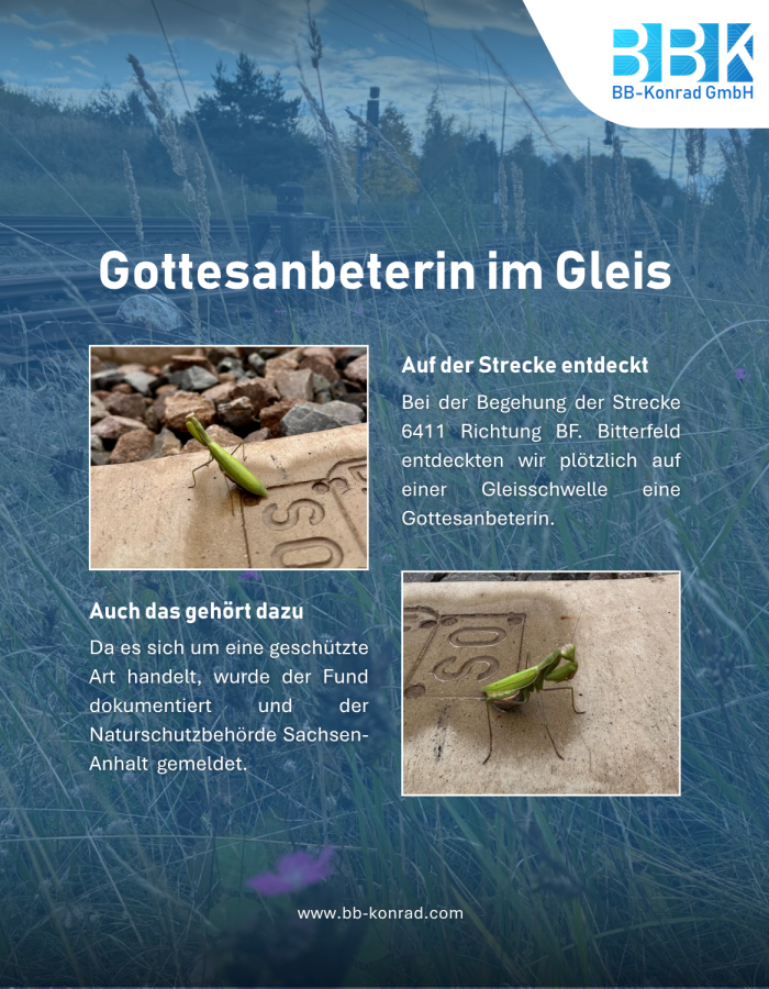 Neuer Blogartikel